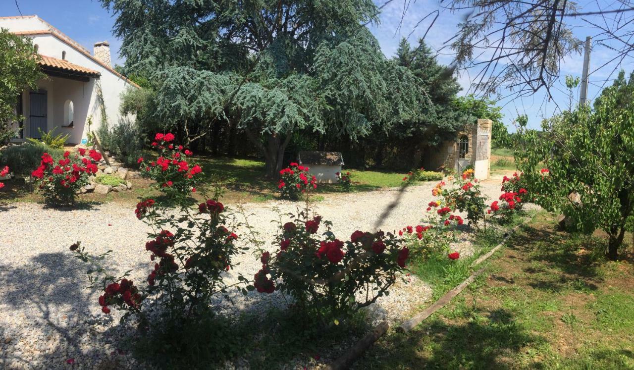 Mazet Provencal Hotel Saint-Gilles  Buitenkant foto